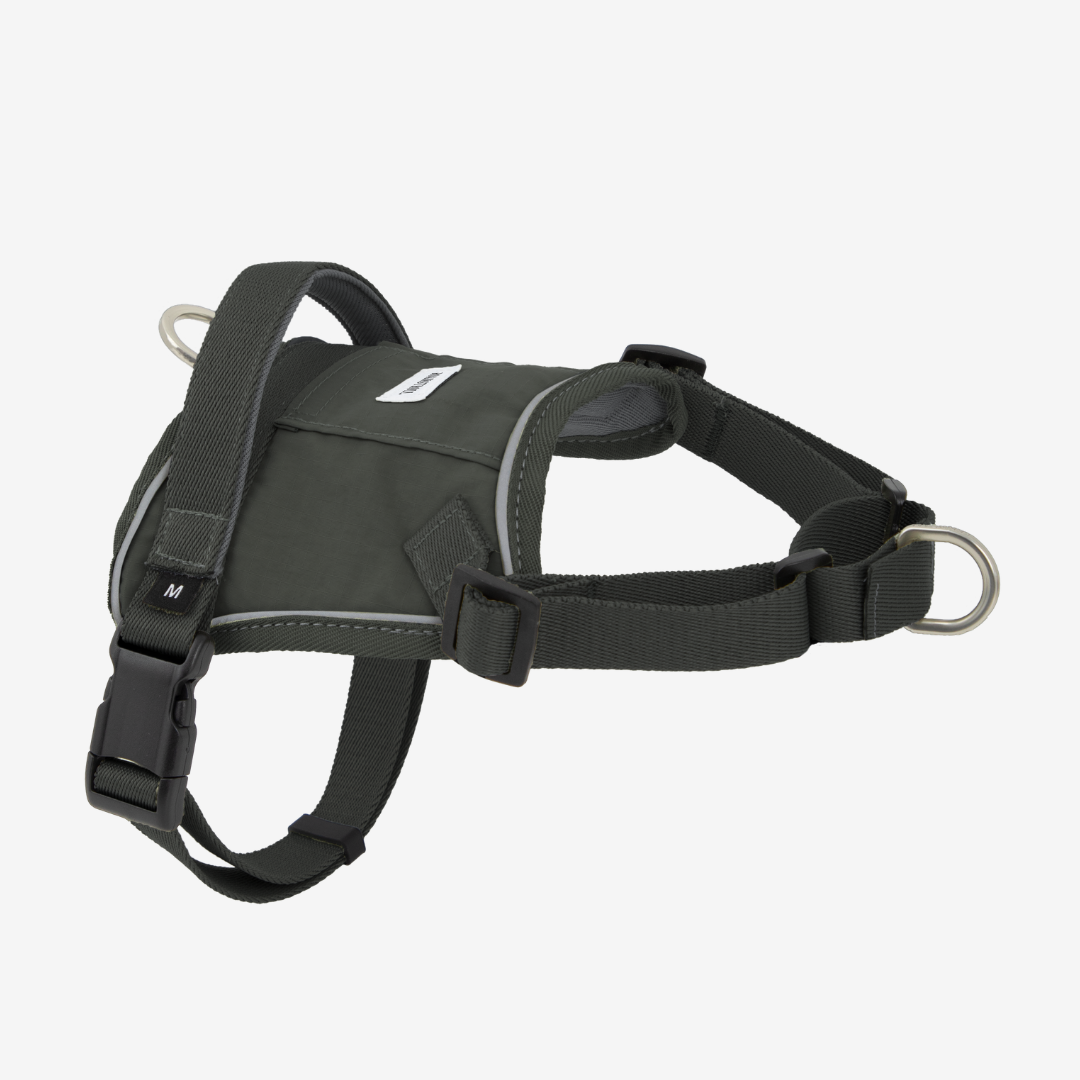 Quick-Fit No-Pull Dog Harness | Terra Series image 4