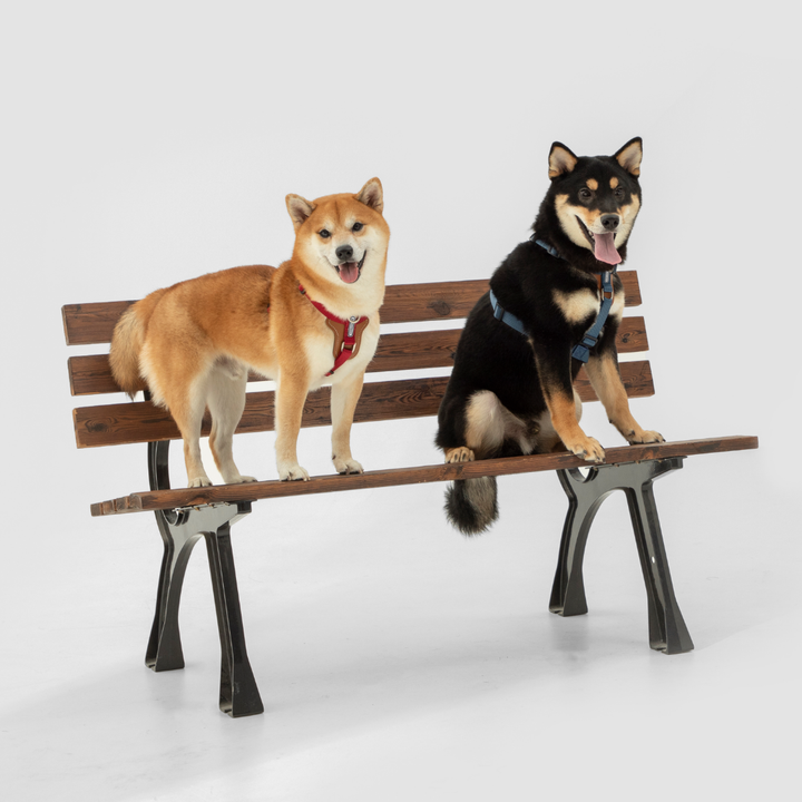 Leather-Paneled H-Style Harness | Venture Collection image 8