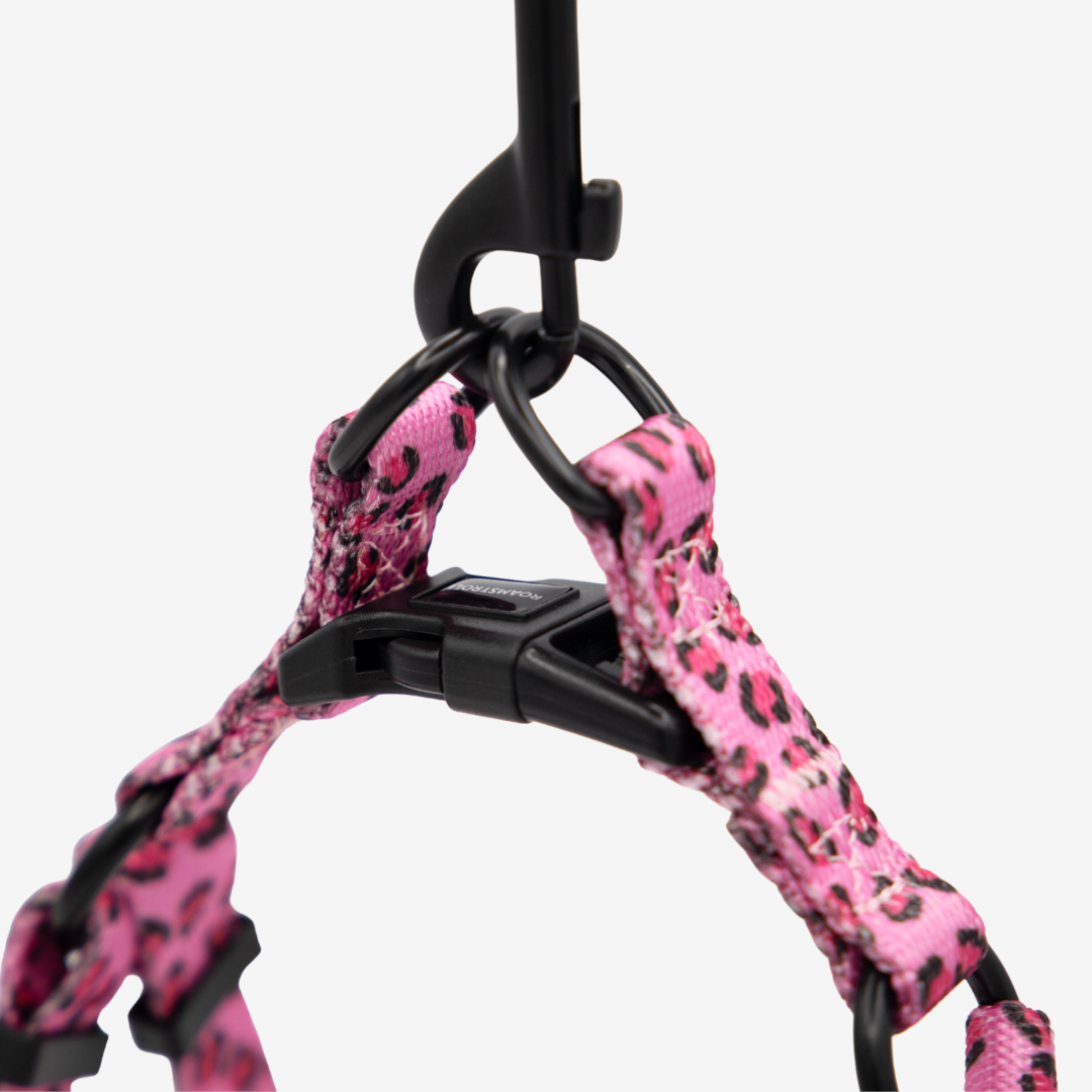 Leopard Pink Step-in Harness & Leash Set | Pop Collection image 4