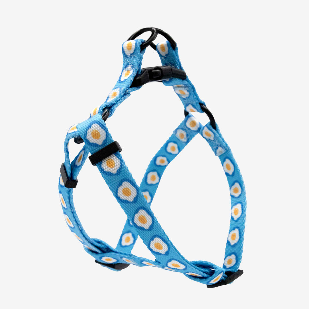 Sunny Side Up Step-in Harness & Leash Set | Pop Collection image 0