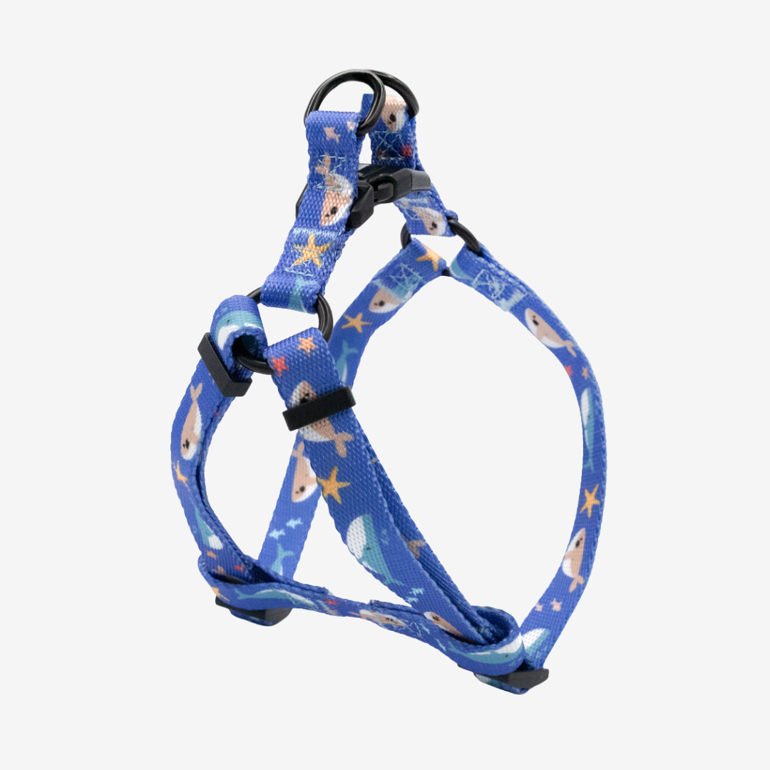 Ocean Whale Step-in Harness & Leash Set | Pop Collection image 0