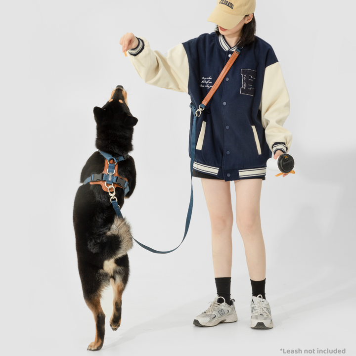 Leather-Paneled H-Style Harness | Venture Collection image 7