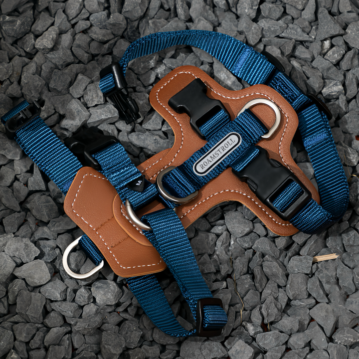 Leather-Paneled H-Style Harness | Venture Collection image 5