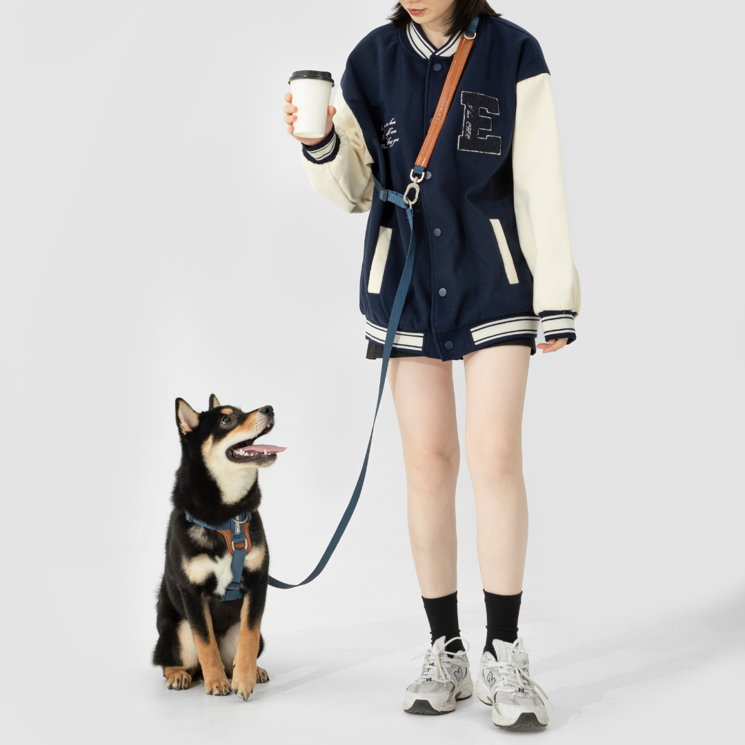 Multi-Use Adjustable Dog Leash | Venture Series image 6