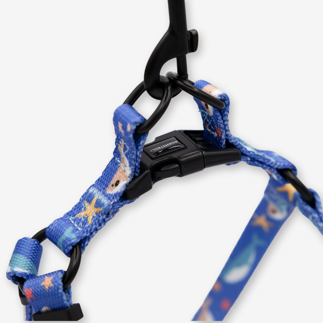 Ocean Whale Step-in Harness & Leash Set | Pop Collection image 4