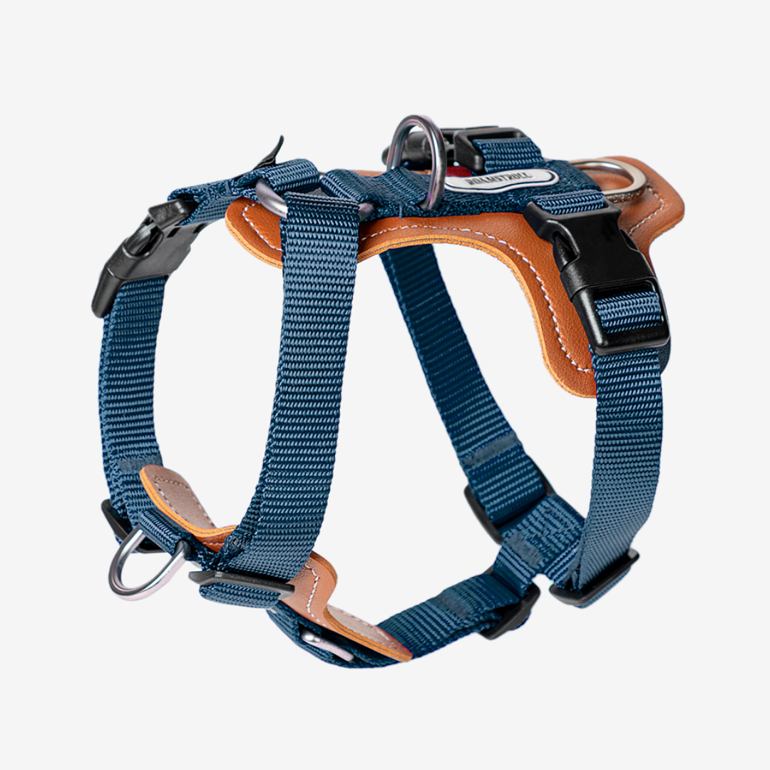 Leather-Paneled H-Style Harness | Venture Collection image 4