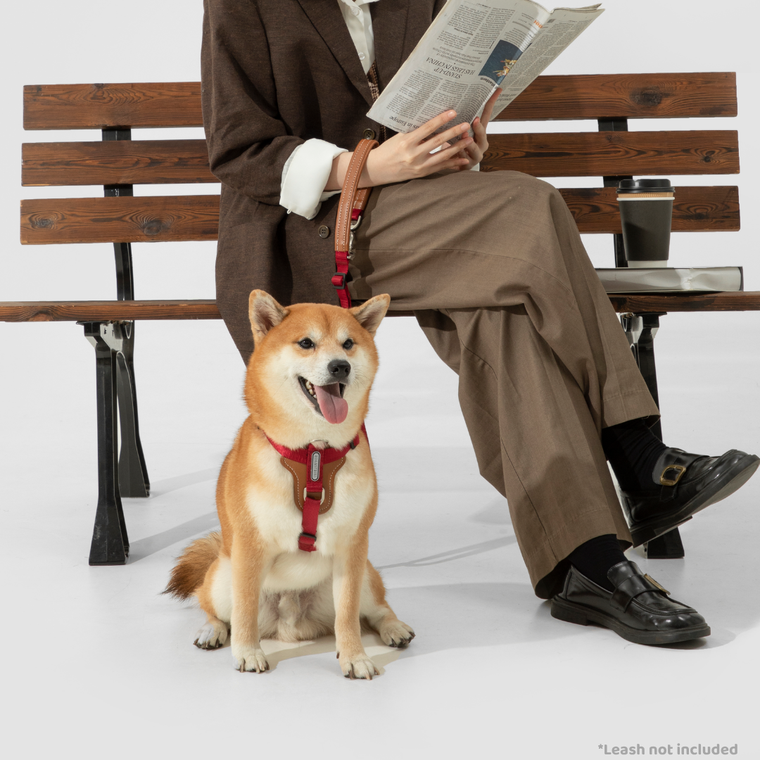 Leather-Paneled H-Style Harness | Venture Collection image 3