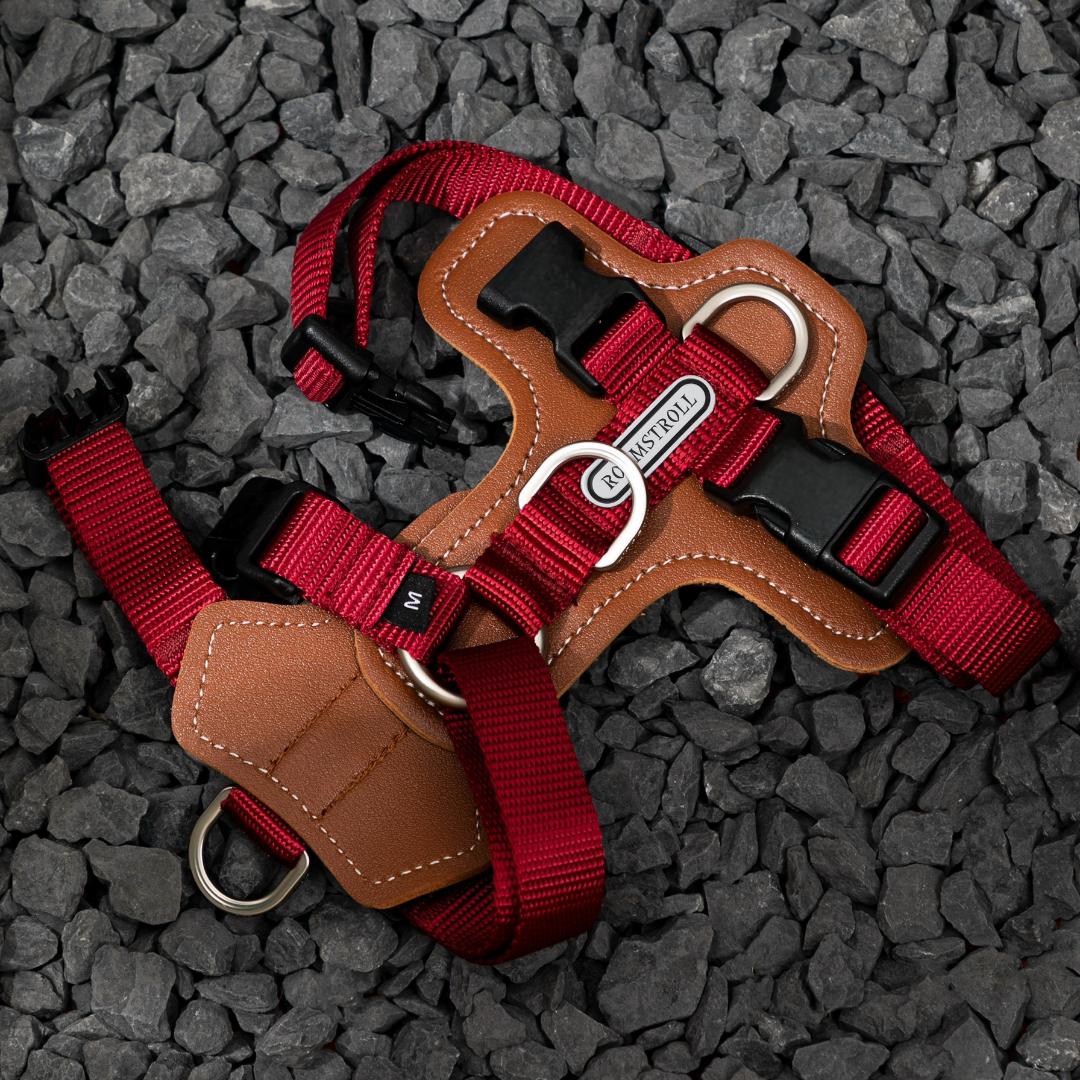Leather-Paneled H-Style Harness | Venture Collection image 1