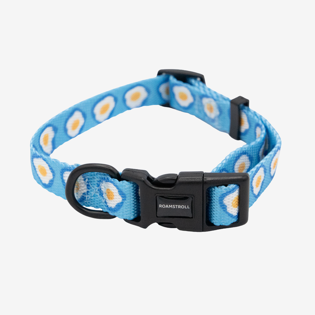 Sunny Side Up Collar | Pop Collection image 0
