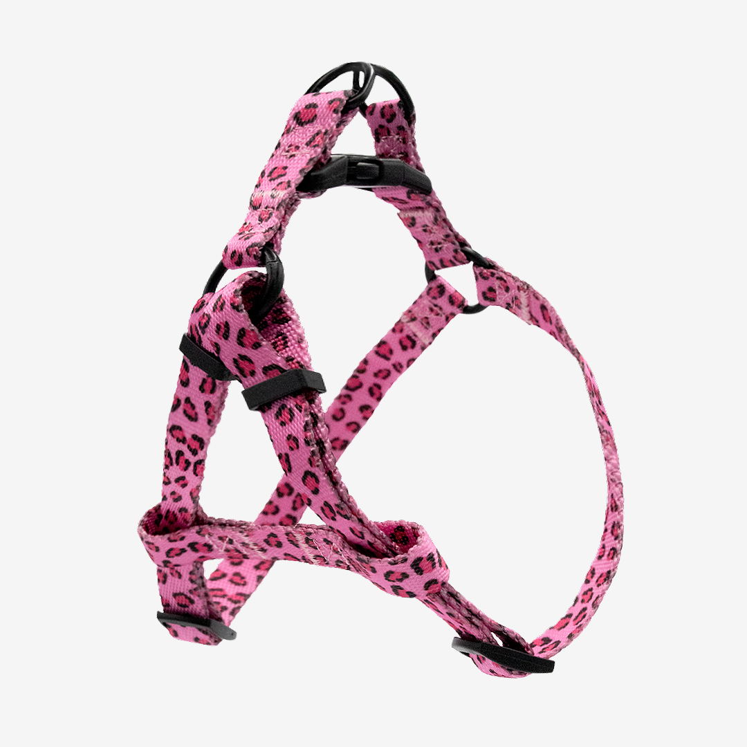 Leopard Pink Step-in Harness & Leash Set | Pop Collection image 0