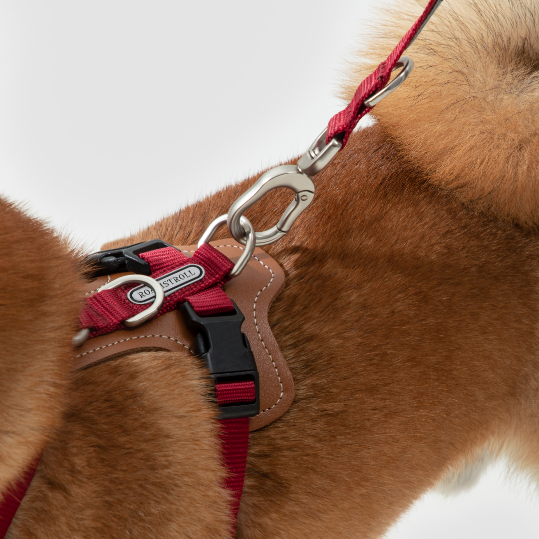 Multi-Use Adjustable Dog Leash | Venture Series image 3