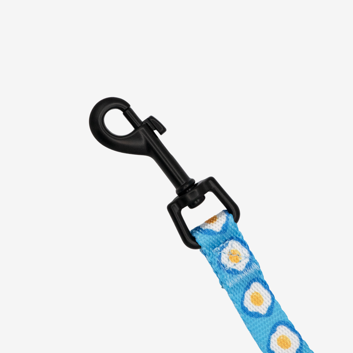 Sunny Side Up Step-in Harness & Leash Set | Pop Collection image 3