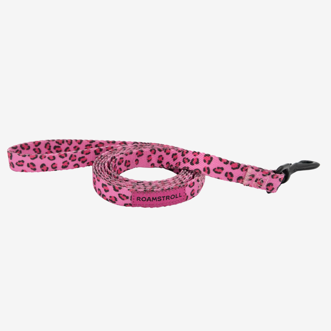 Leopard Pink Step-in Harness & Leash Set | Pop Collection image 1