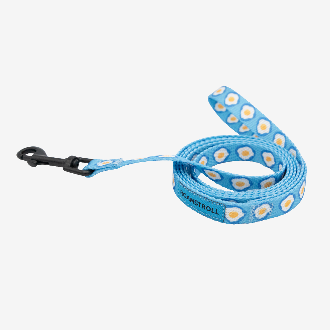 Sunny Side Up Step-in Harness & Leash Set | Pop Collection image 1