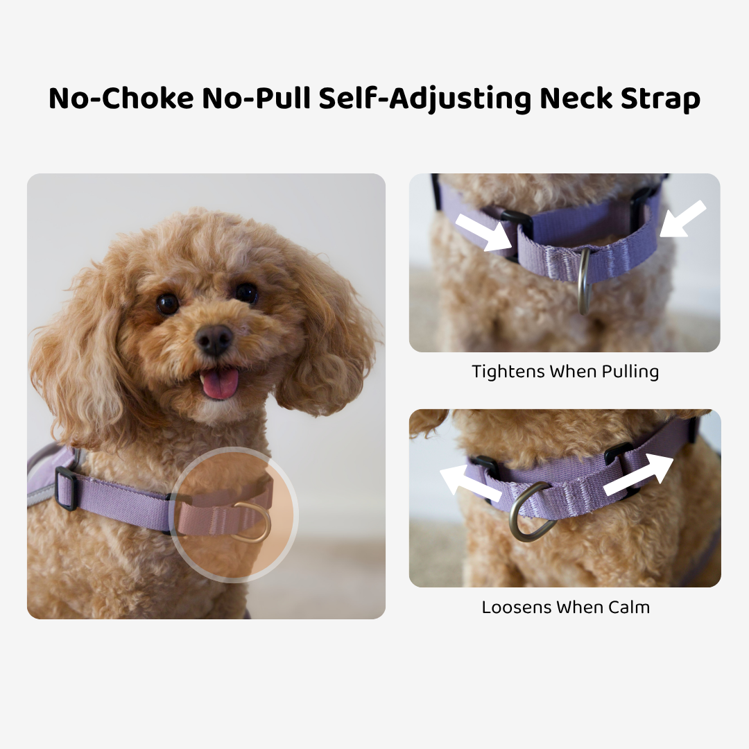 Quick-Fit No-Pull Dog Harness | Terra Series image 6