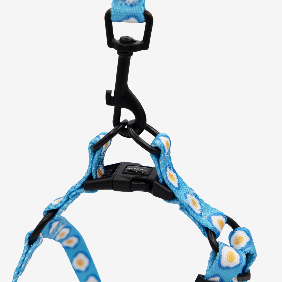 Sunny Side Up Step-in Harness & Leash Set | Pop Collection image 4