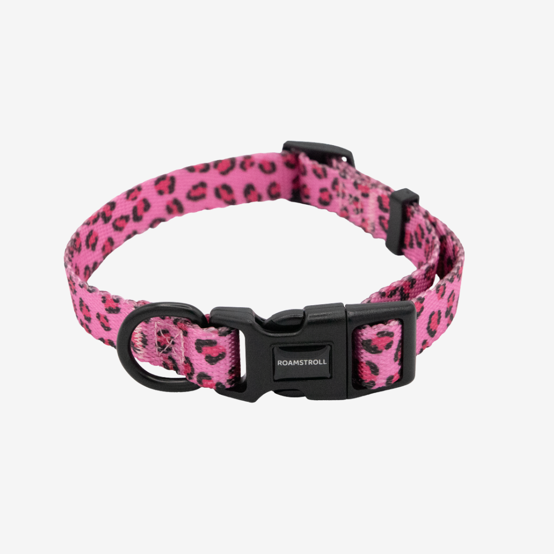 Leopard Pink Collar | Pop Collection image 0