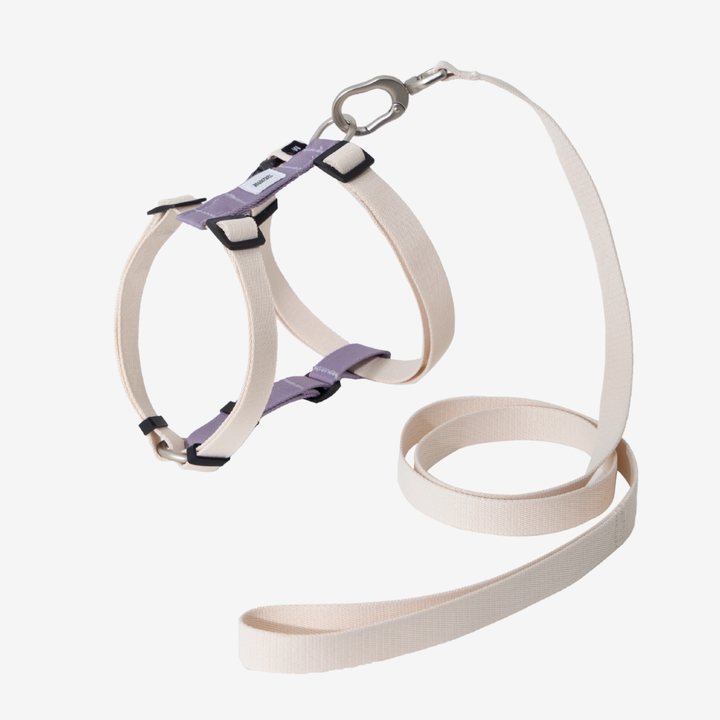 H-Style Dog Harness & Leash Set | Terra Series image 0