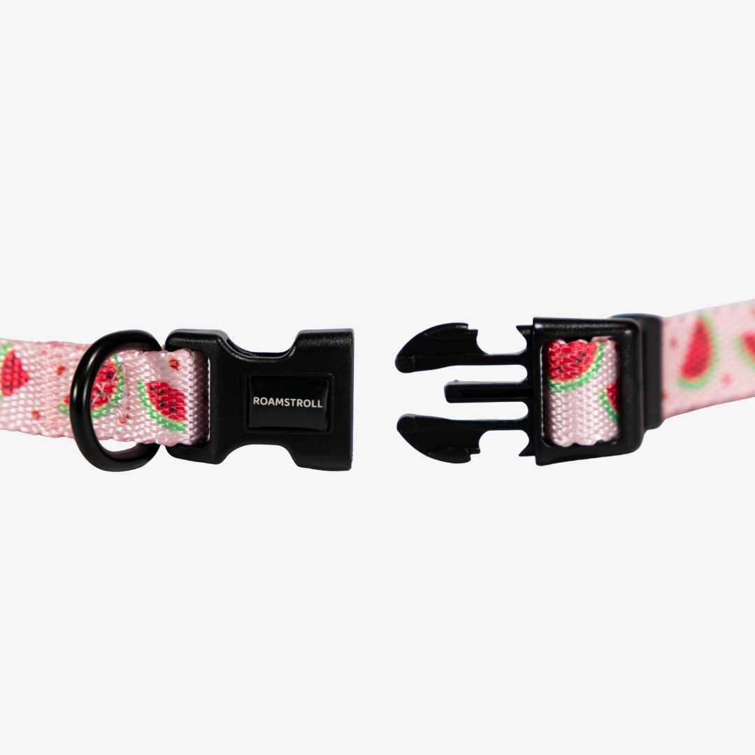 Pink Watermelon Collar | Pop Collection image 1