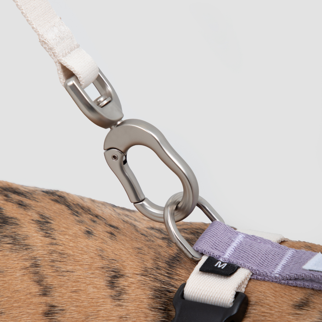 H-Style Dog Harness & Leash Set | Terra Series image 3