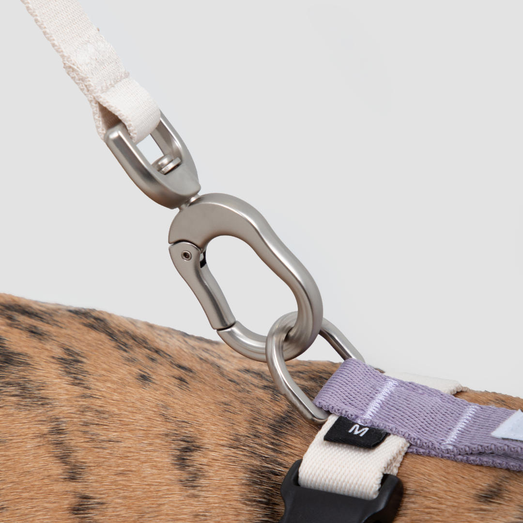 H-Style Dog Harness & Leash Set | Terra Series image 3