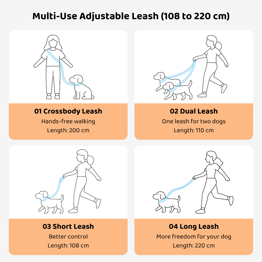 Multi-Use Adjustable Dog Leash | Venture Series image 1