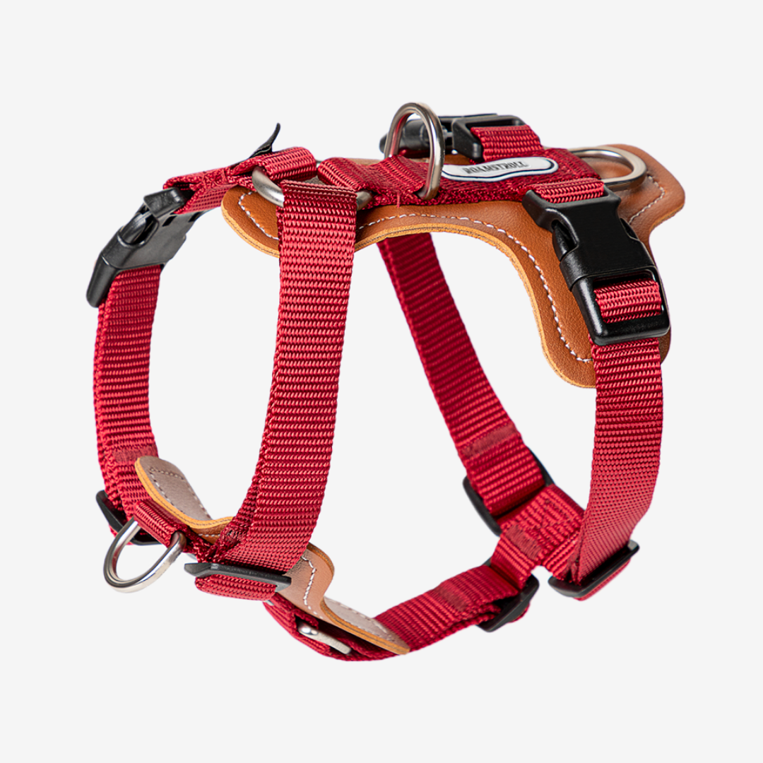 Leather-Paneled H-Style Harness | Venture Collection image 0
