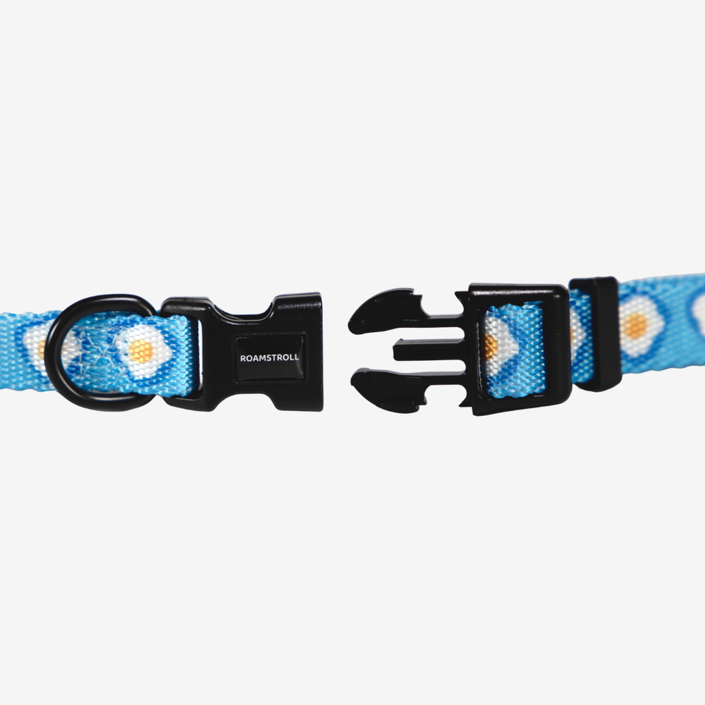 Sunny Side Up Collar | Pop Collection image 1