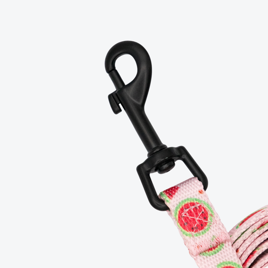 Pink Watermelon Step-in Harness & Leash Set | Pop Collection image 3