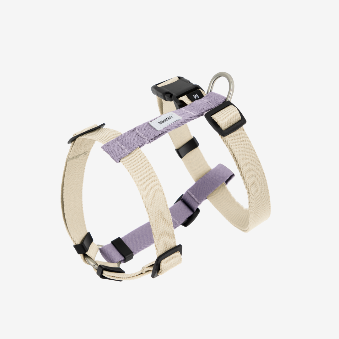 H-Style Dog Harness & Leash Set | Terra Series image 1