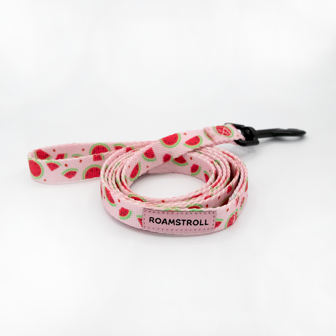 Pink Watermelon Step-in Harness & Leash Set | Pop Collection image 1