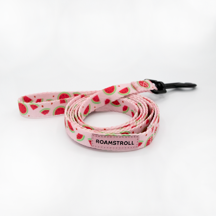 Pink Watermelon Step-in Harness & Leash Set | Pop Collection image 1