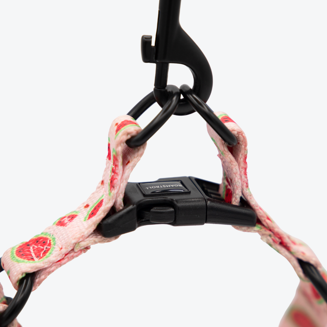 Pink Watermelon Step-in Harness & Leash Set | Pop Collection image 4