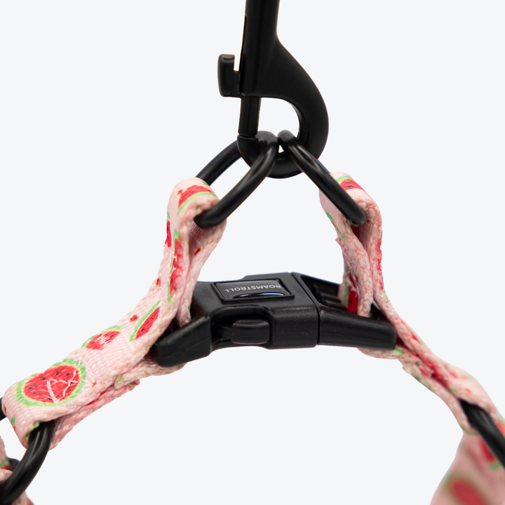 Pink Watermelon Step-in Harness & Leash Set | Pop Collection image 4