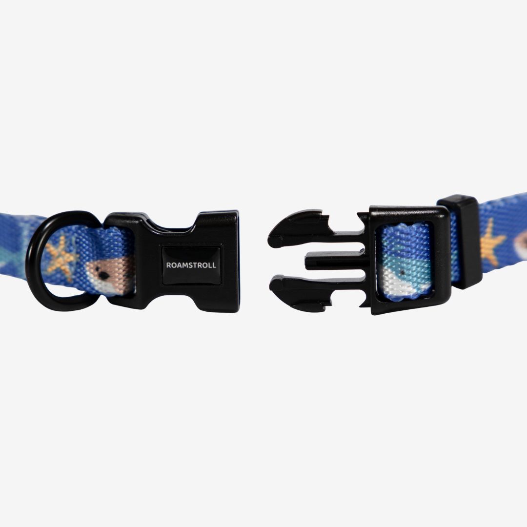 Ocean Whale Collar | Pop Collection image 1