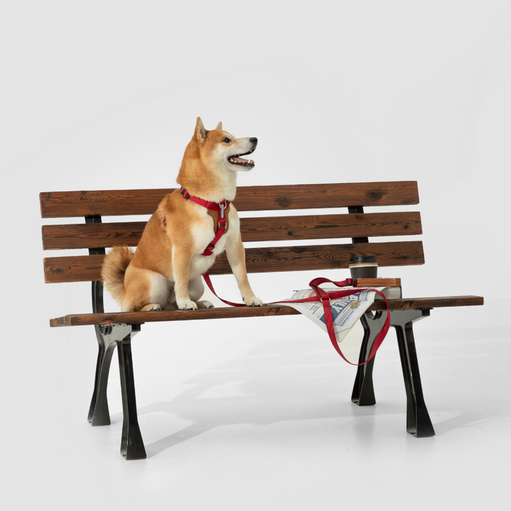 Multi-Use Adjustable Dog Leash | Venture Series image 2