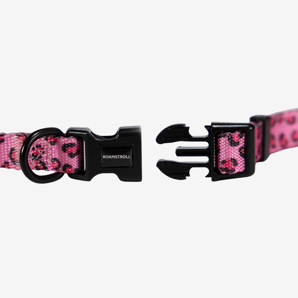 Leopard Pink Collar | Pop Collection image 1