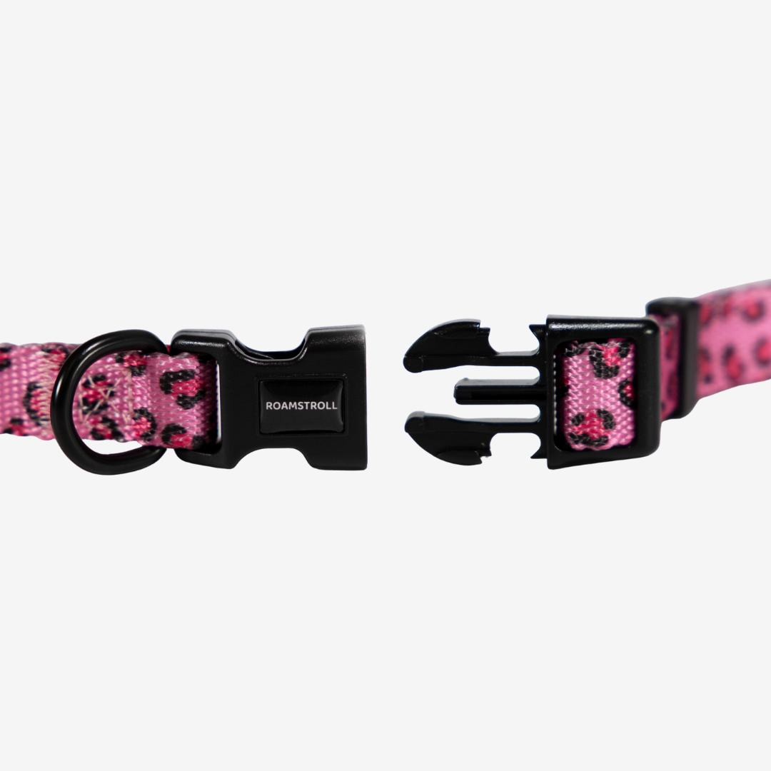 Leopard Pink Collar | Pop Collection image 1