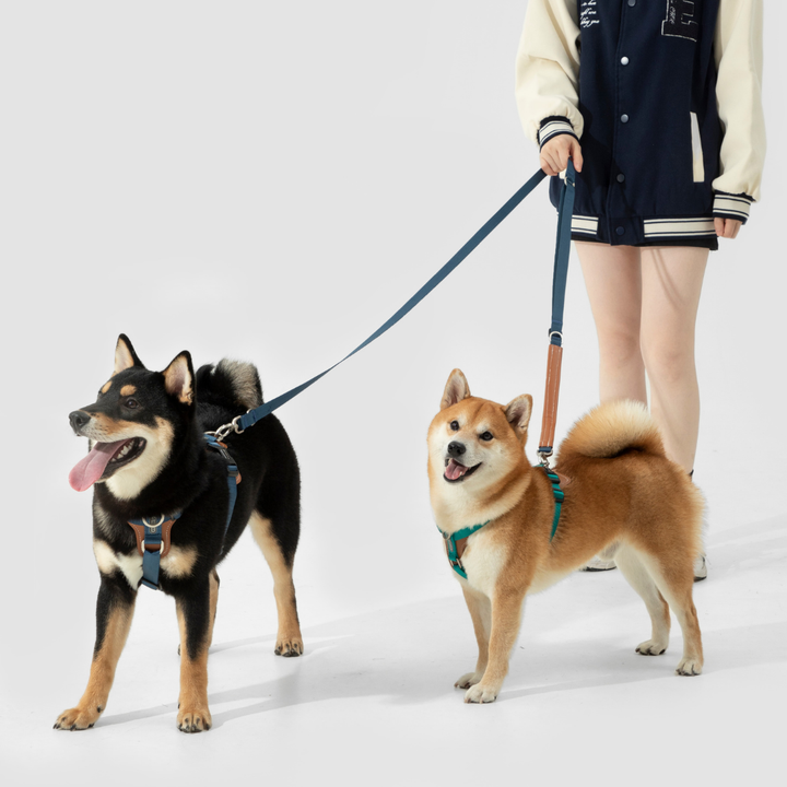 Multi-Use Adjustable Dog Leash | Venture Series image 5