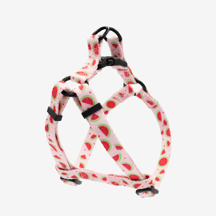 Pink Watermelon Step-in Harness & Leash Set | Pop Collection image 0